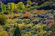 Lower Calf Creek Tr 17-2200